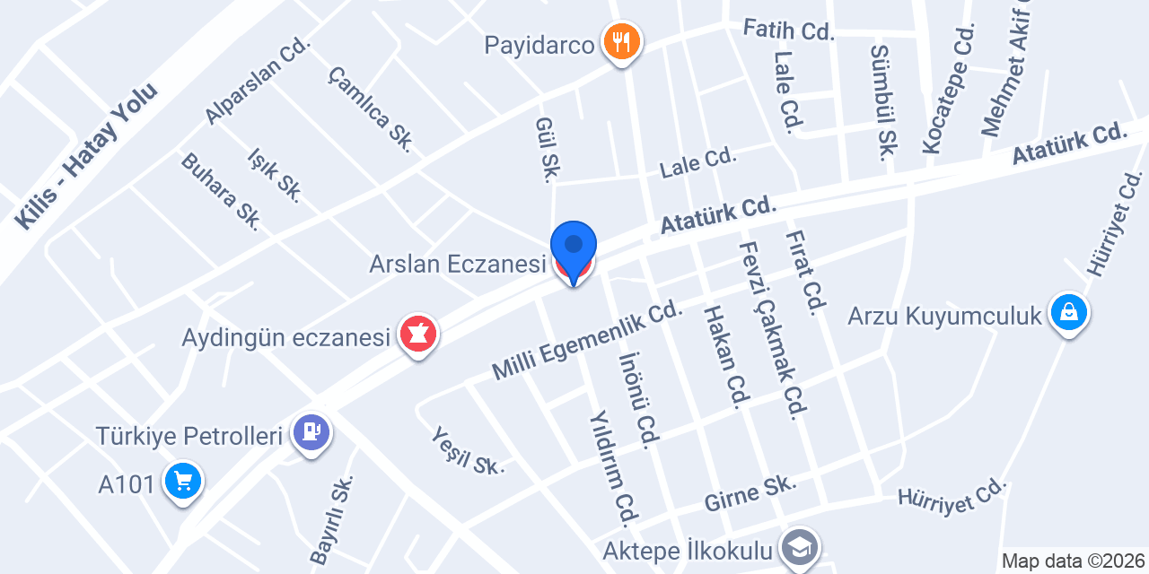 Arslan Eczanesi konumu