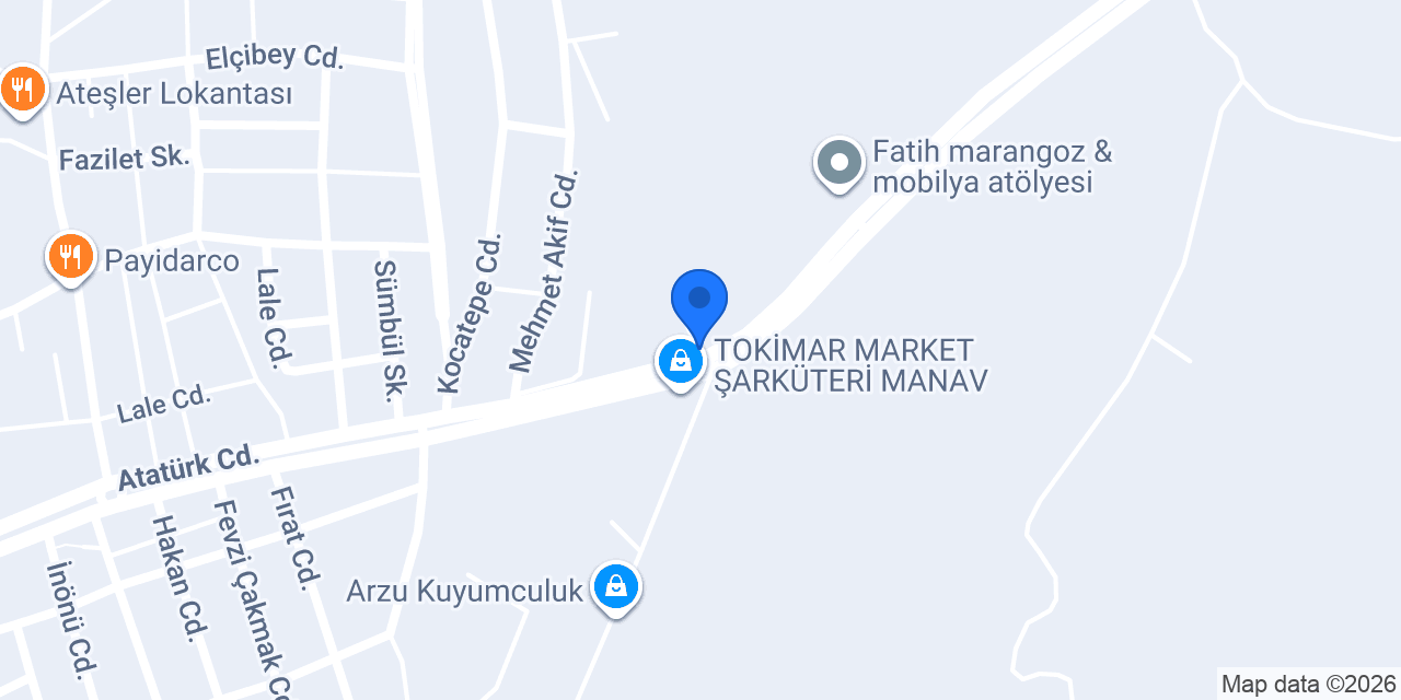 Ayyıldız Solar Enerji konumu