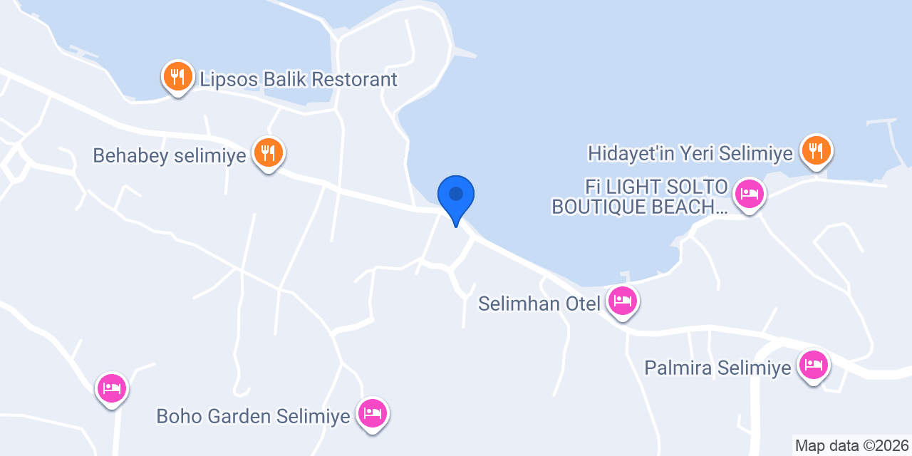 DUT SELİMİYE konumu