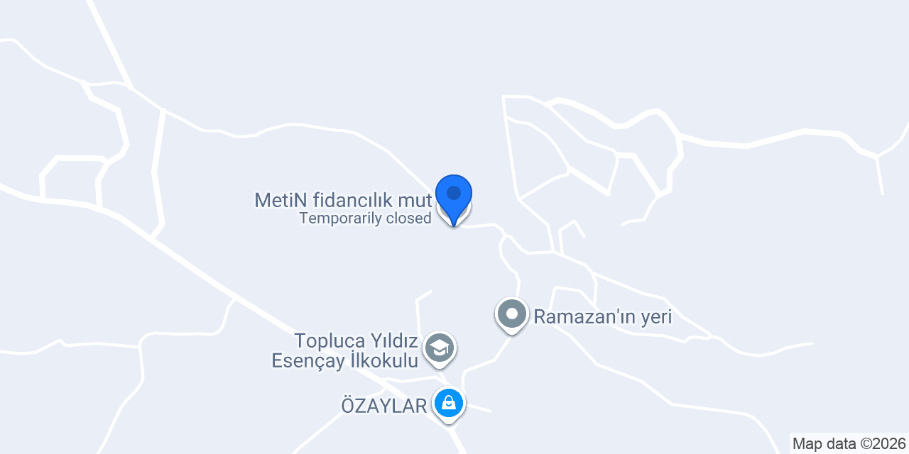 MetiN fidancılık mut konumu