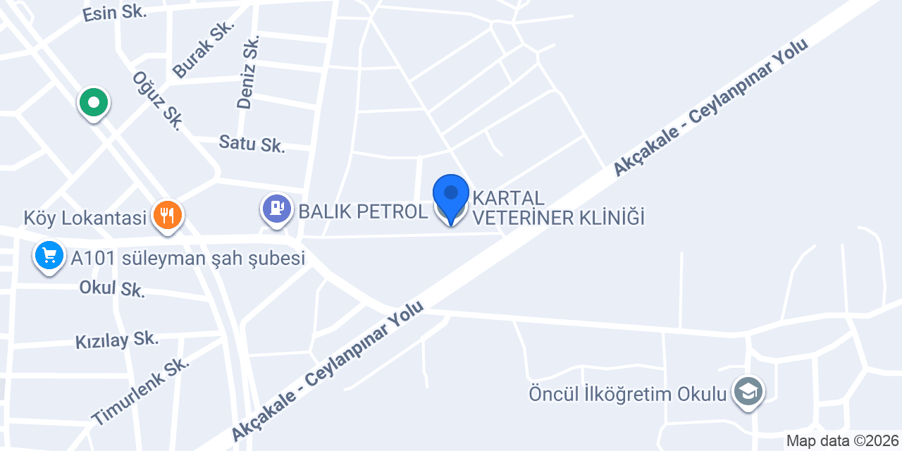 KARTAL VETERİNER KLİNİĞİ konumu
