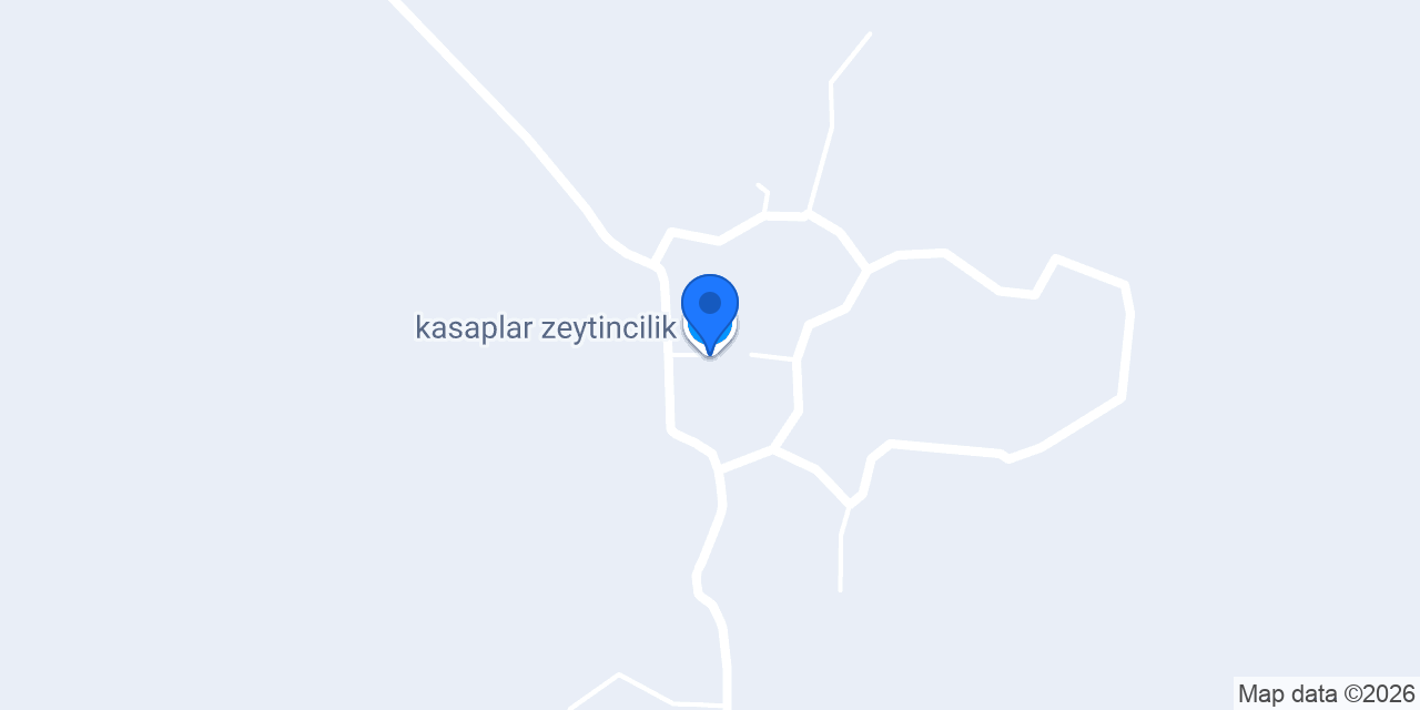 kasaplar zeytincilik konumu
