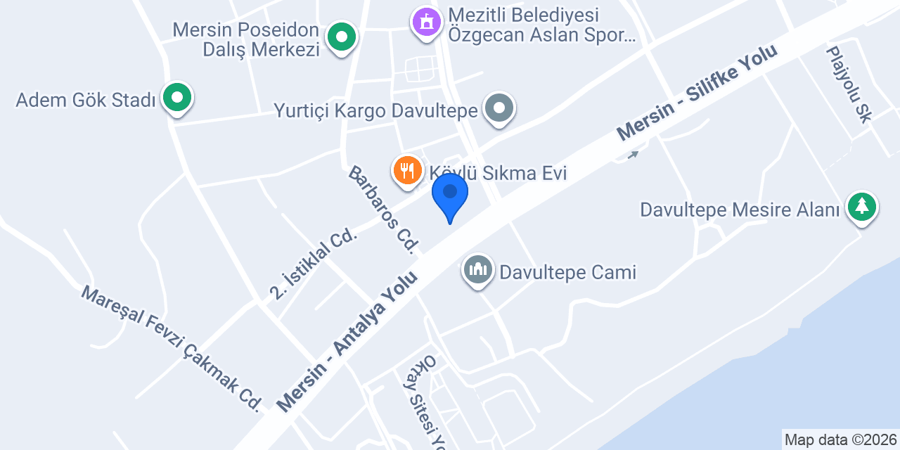 Halil Usta Merkez Biftek Tantuni konumu