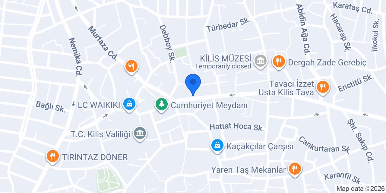 Çınar tost konumu