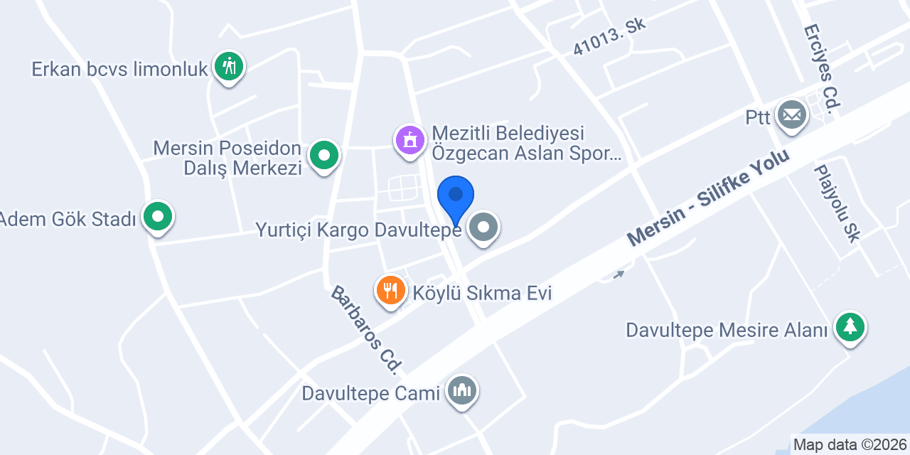 Terzi Nazan konumu