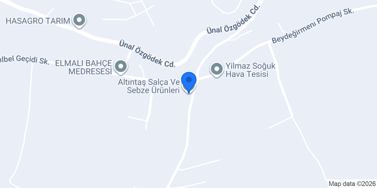 Altıntaş Salça Ve Sebze Ürünleri konumu