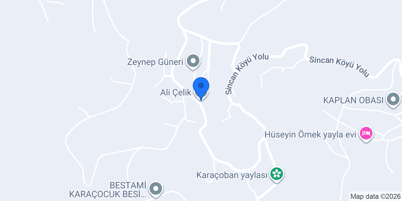 Ali Çelik konumu