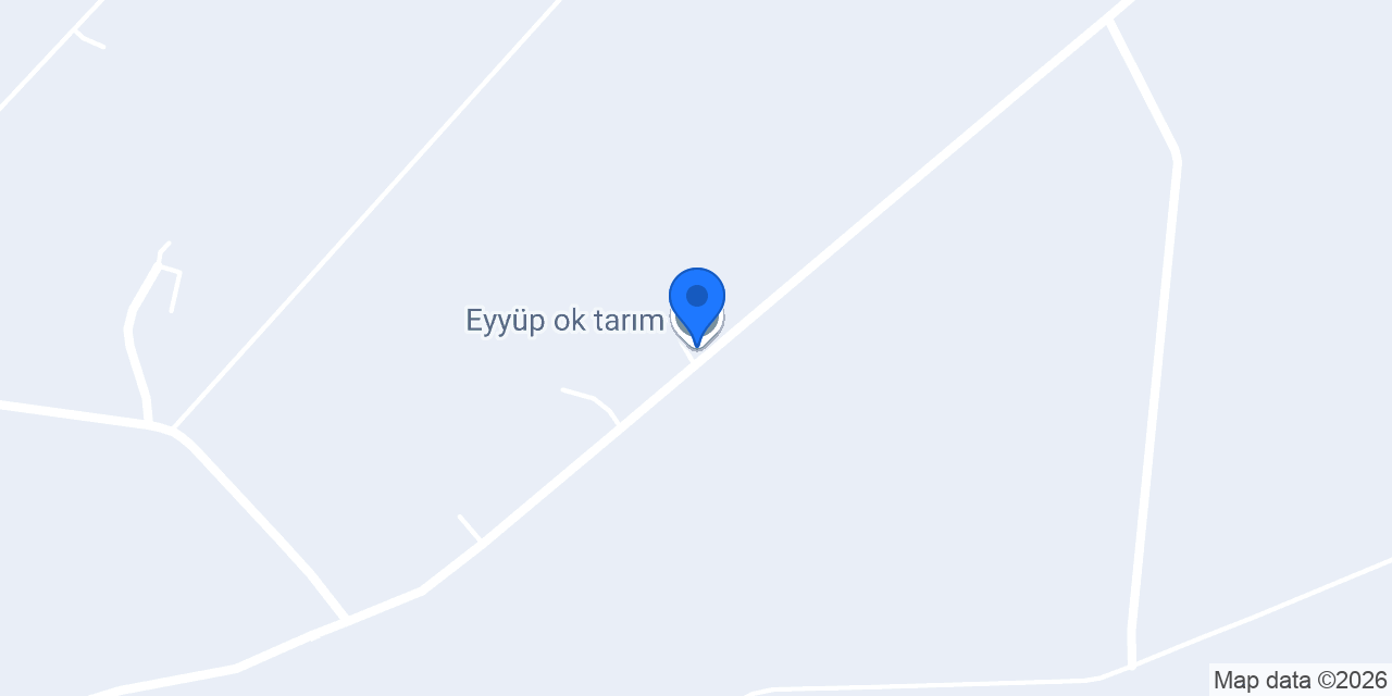 Eyyüp ok tarım konumu