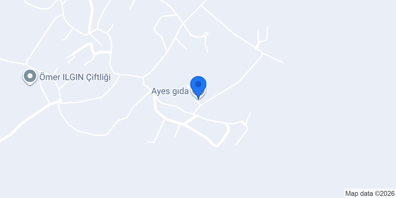 Ayes gıda konumu