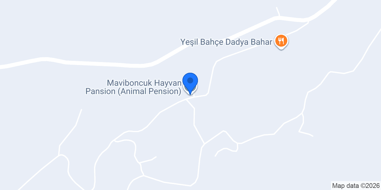 Maviboncuk Hayvan Pansion (Animal Pension) konumu