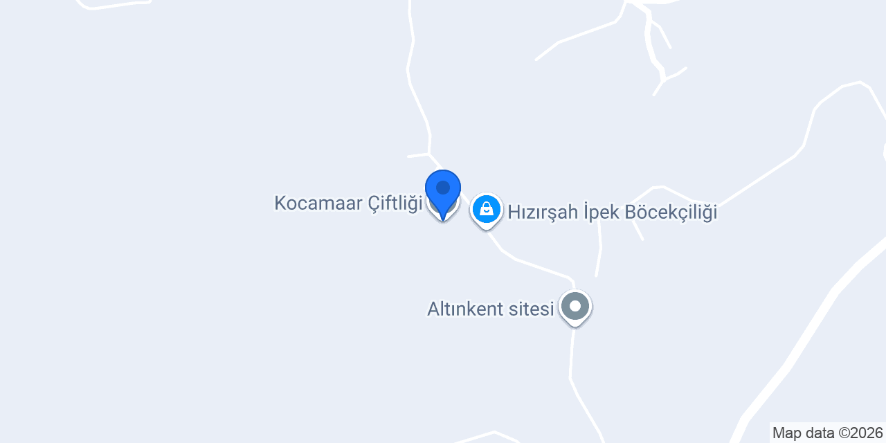 Kocamaar konumu