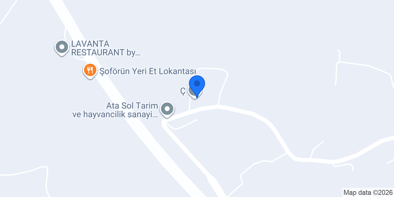 Ç konumu