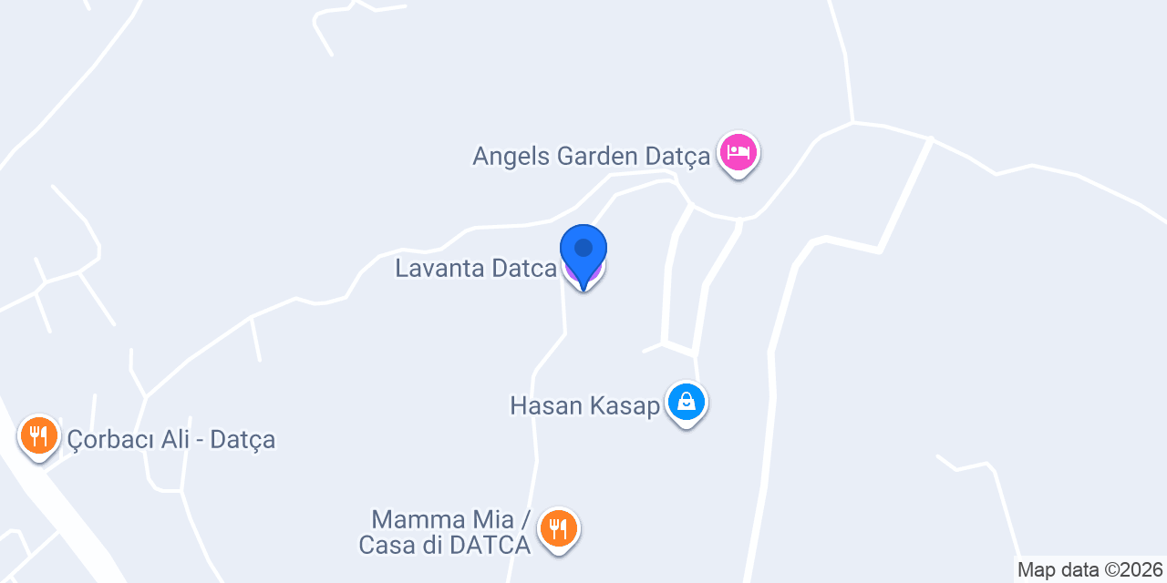 Lavanta Datca konumu