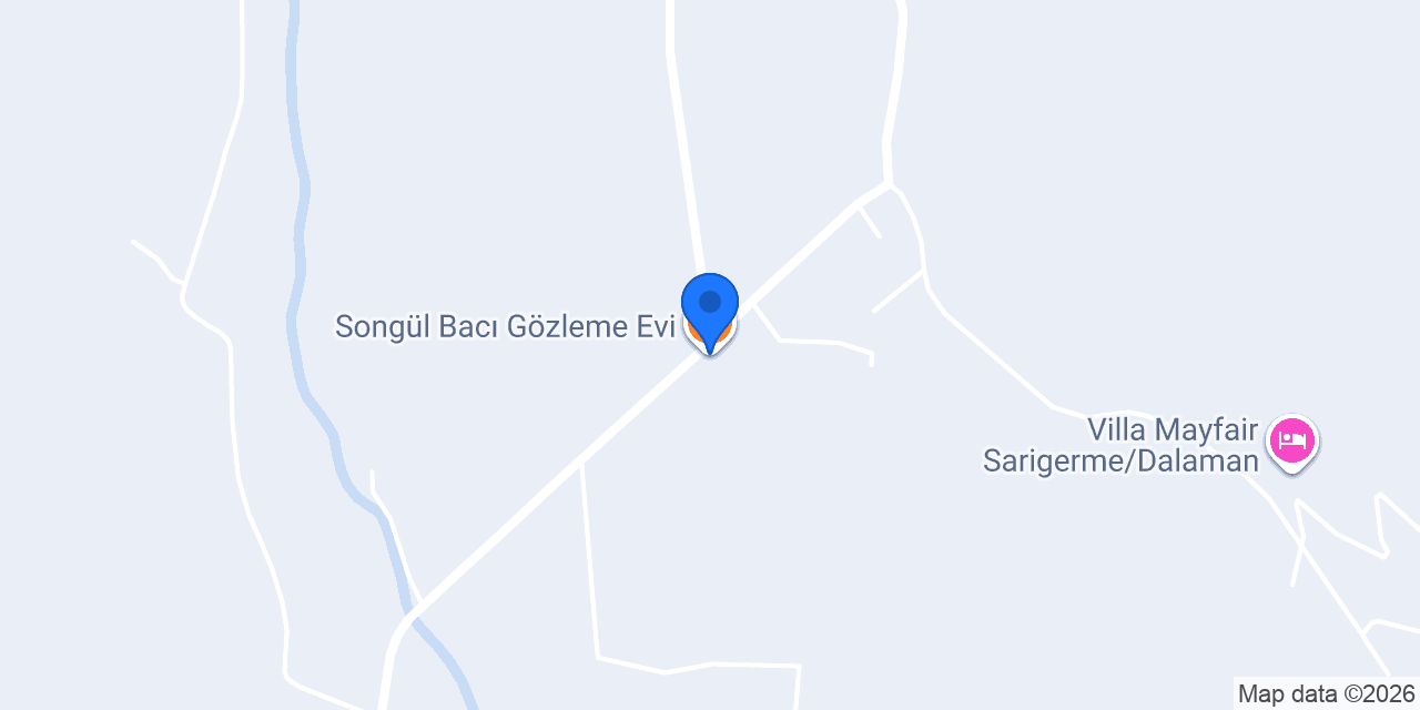 Songül Bacı Gözleme Evi konumu