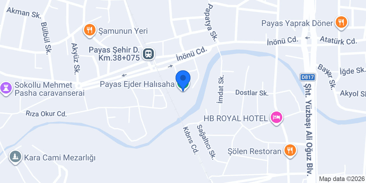 Payas Ejder Halısaha konumu