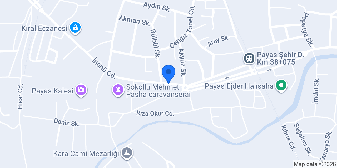ZYS GIDA PAYAS konumu