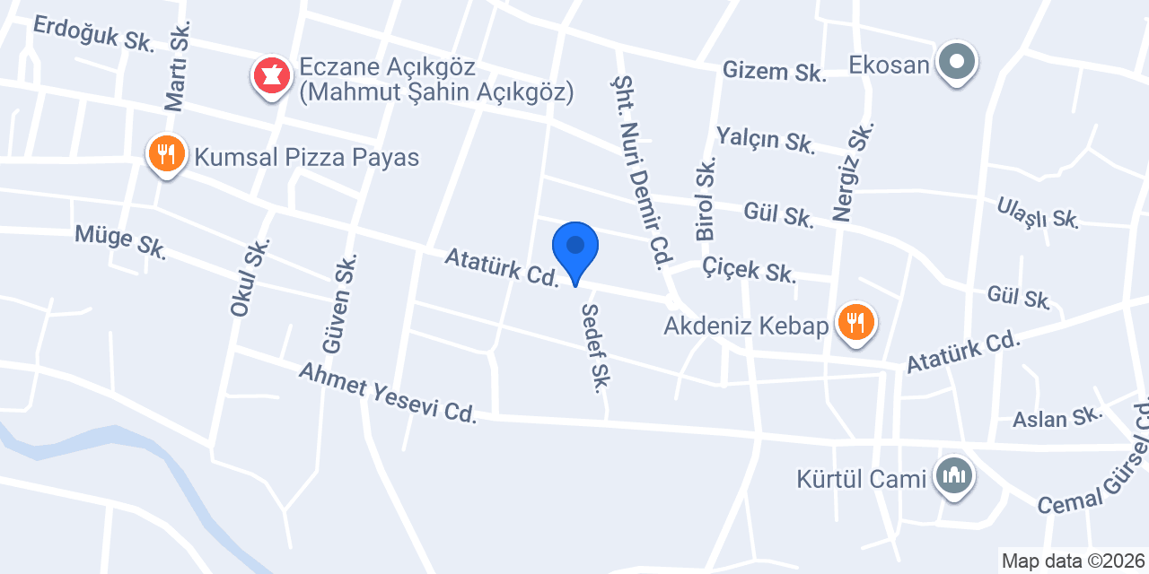 hadi ustanın yeri Payas konumu
