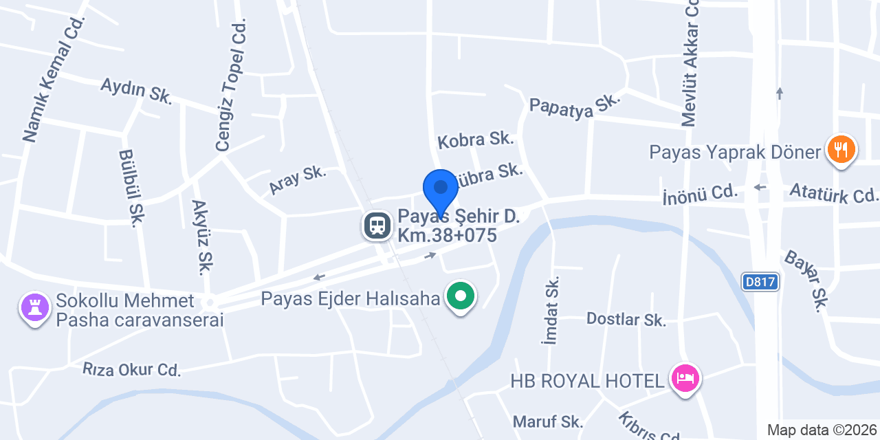 FİESTA RENT A CAR konumu