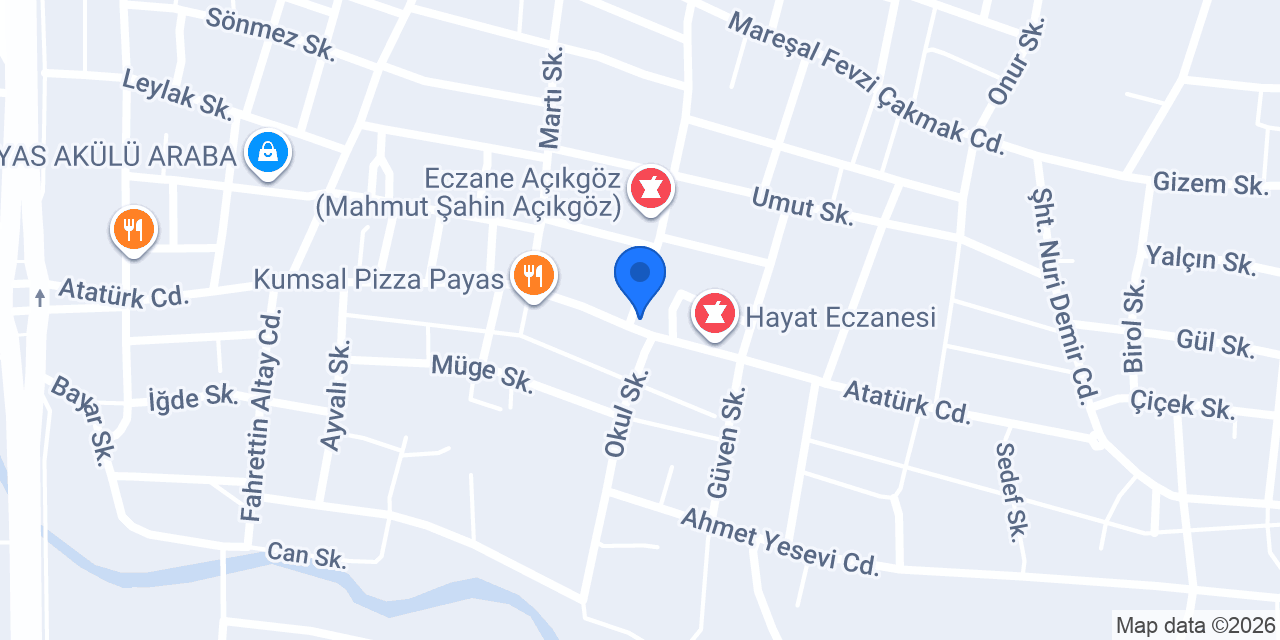 PAYAS ERŞAN ÇİÇEKÇİLİK konumu