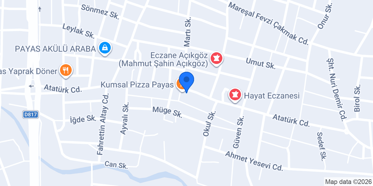 King Pizza Burger Payas konumu