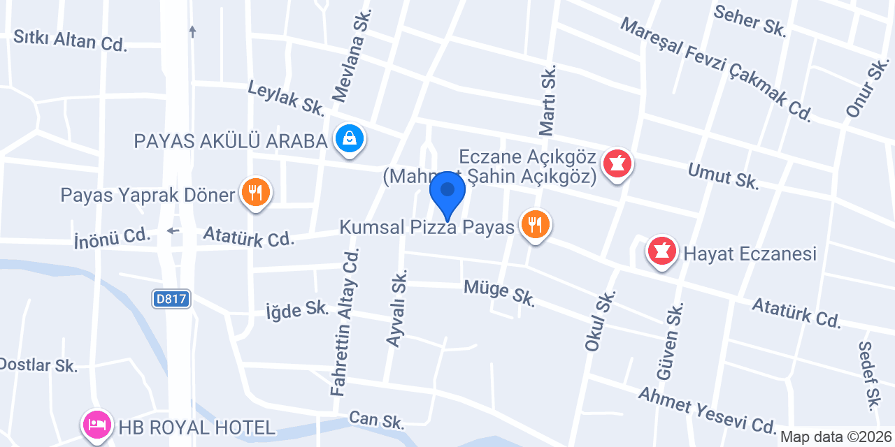 PAYAS LOTUS DÖNER İSKENDER konumu