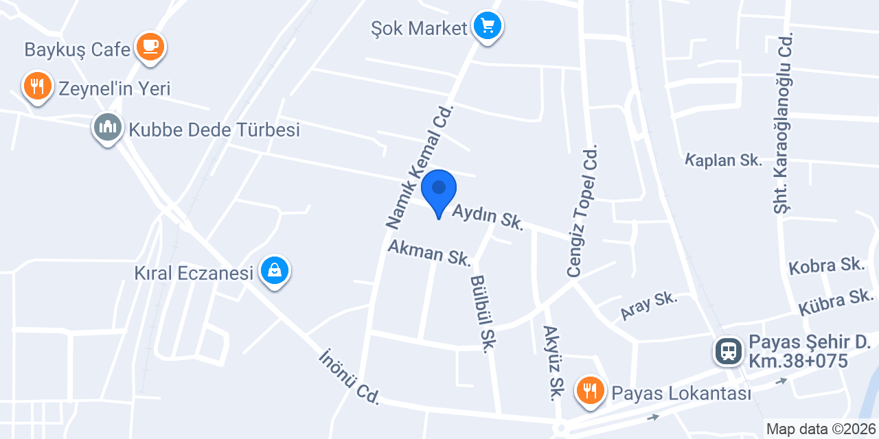 Payas Atatürk Ortaokulu konumu