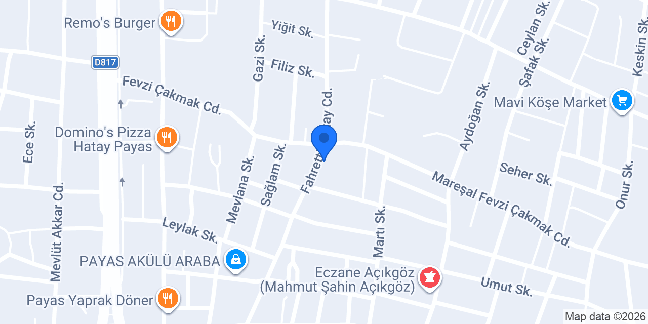 PAYAS UZMAN ELEKTRONİK konumu