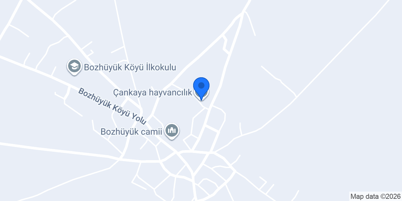 Çankaya hayvancılık konumu