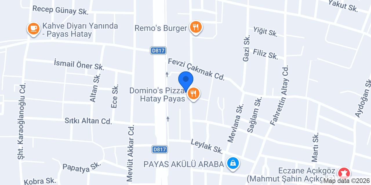 Aras Kargo Payas Şubesi konumu