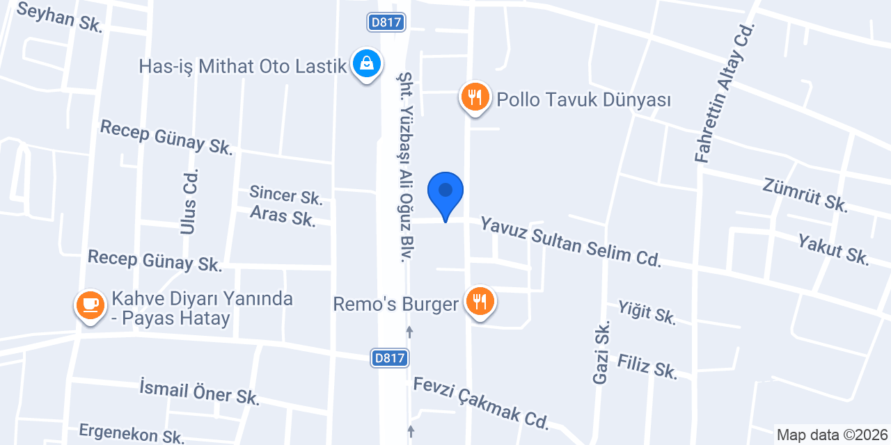 güney yazılım konumu