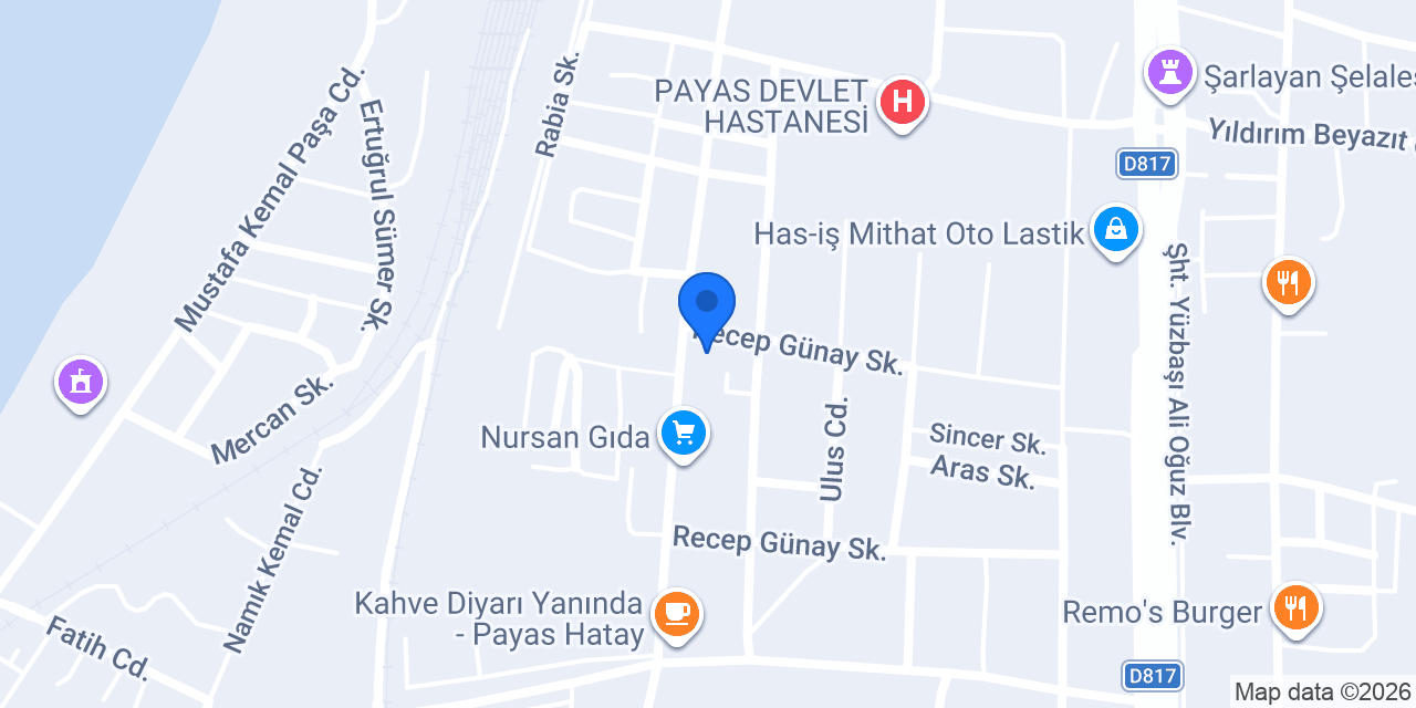 Payas Mert Medikal konumu