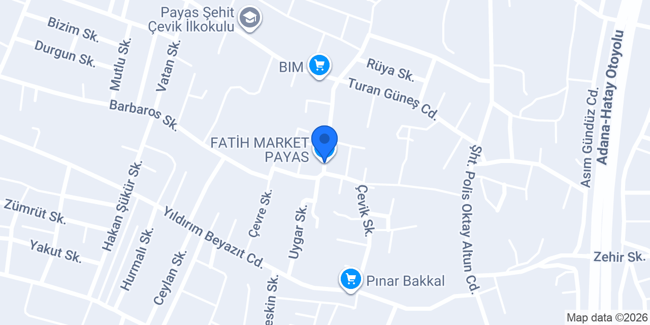 FATİH MARKET PAYAS konumu