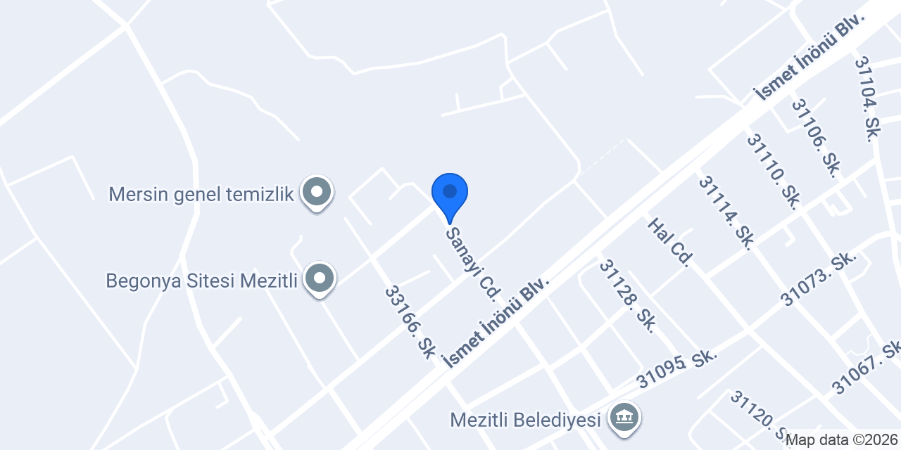 Net Auto konumu