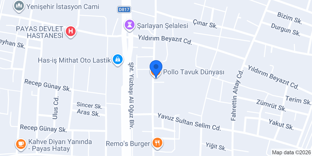 Pollo Tavuk Dünyası konumu