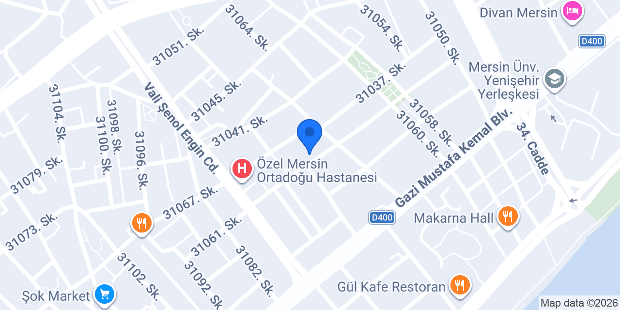 Petunya Çiçekçilik konumu