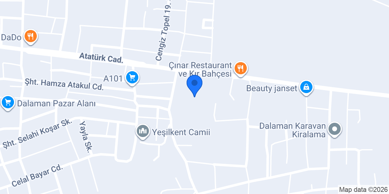 Dalaman Havalimanı Transfer & Airport Transfer konumu