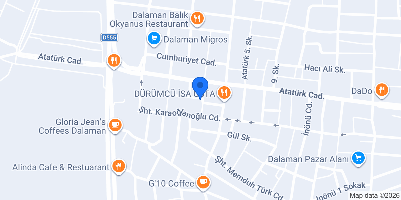 Dalaman elektronik konumu