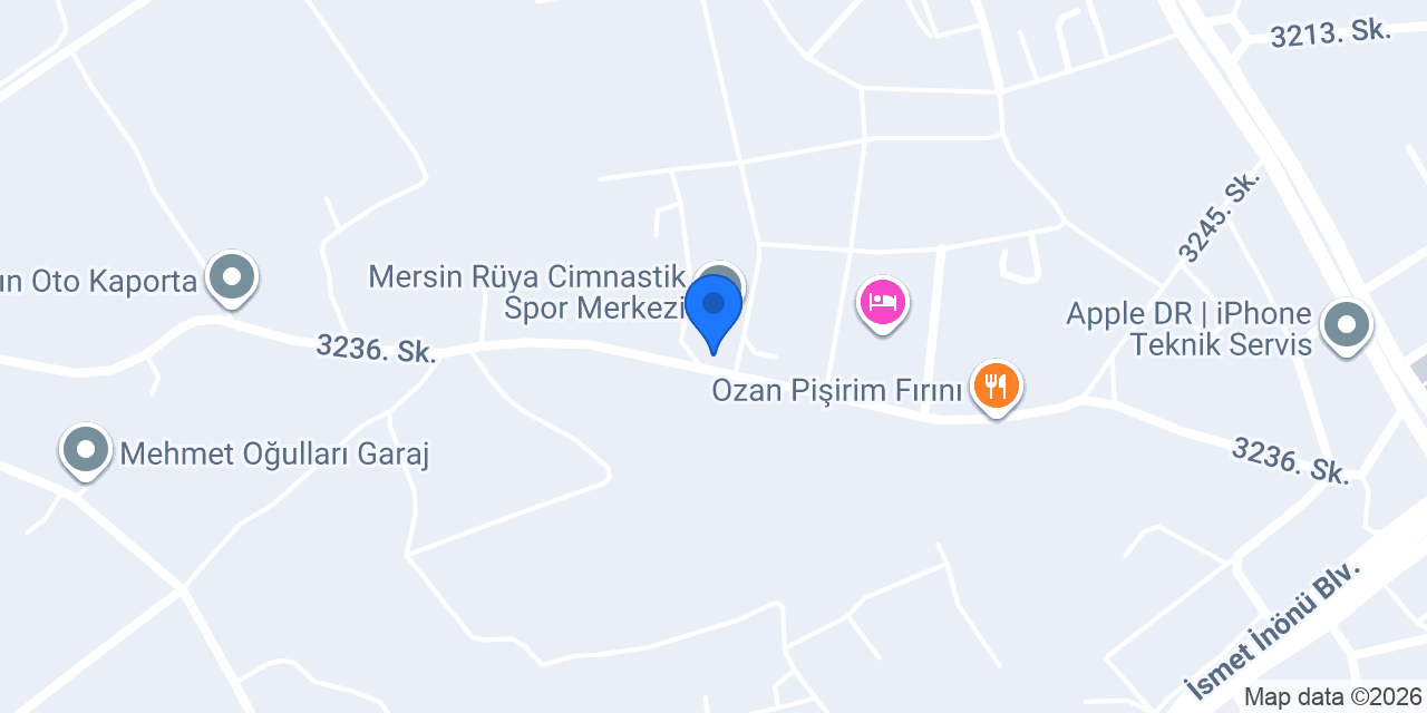 Team organizasyon konumu