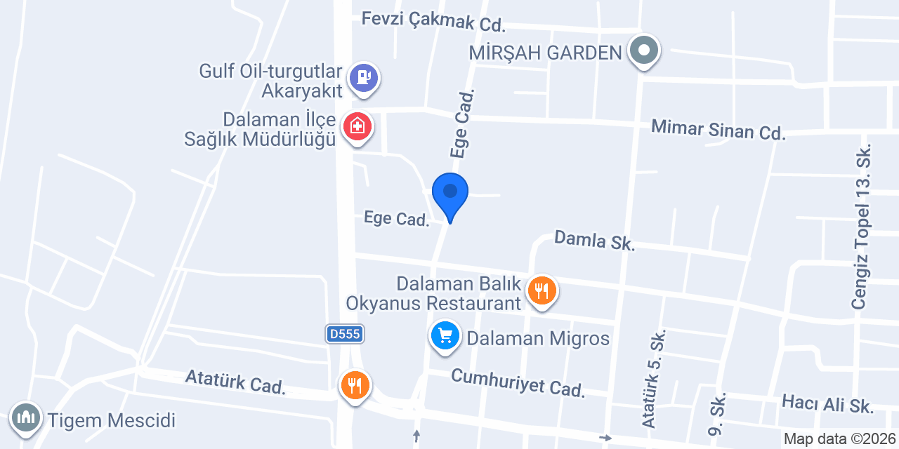 MAVİ TRANSFER DALAMAN konumu