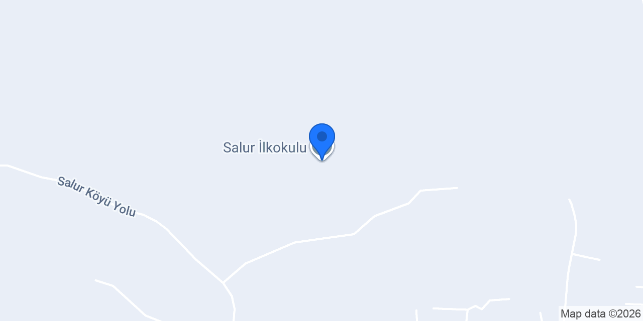 Salur İlkokulu konumu