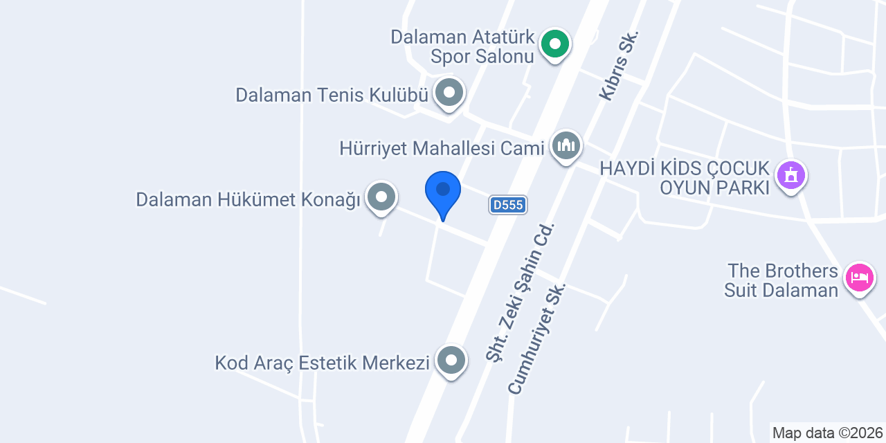 dalaman vip transfer konumu