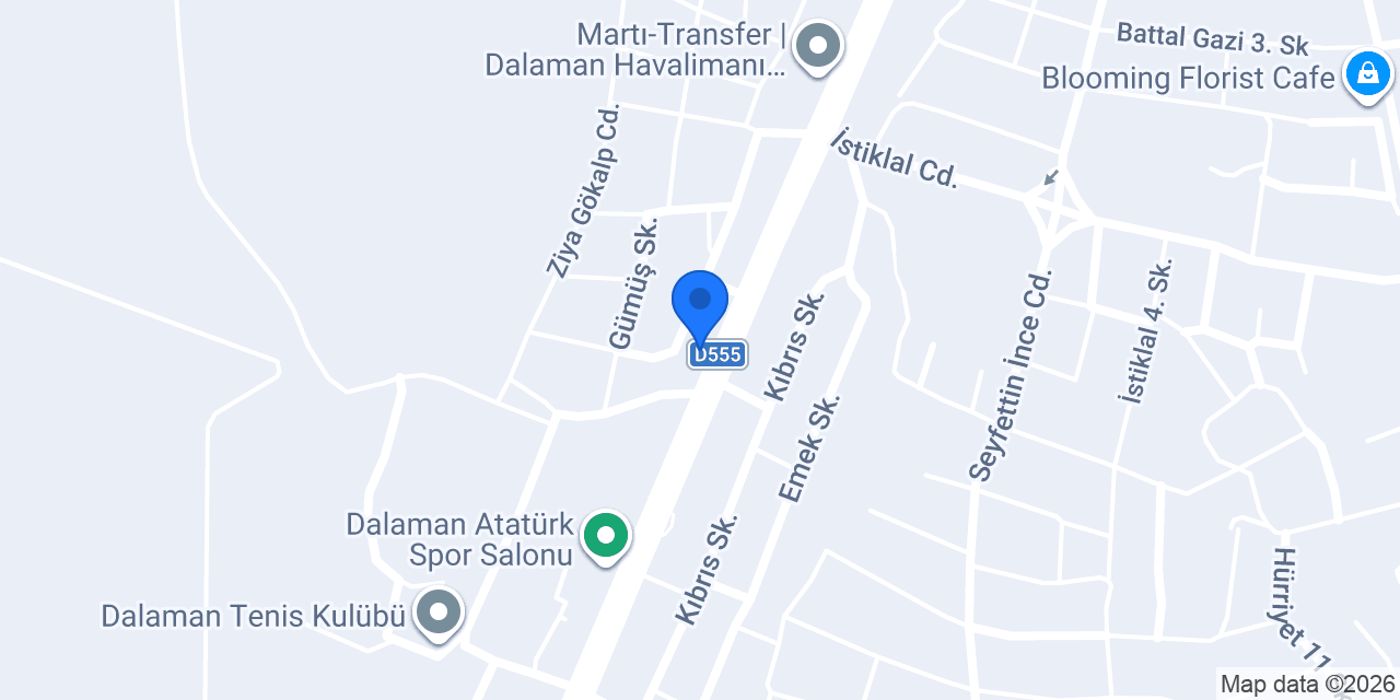 vipsıter transfer konumu