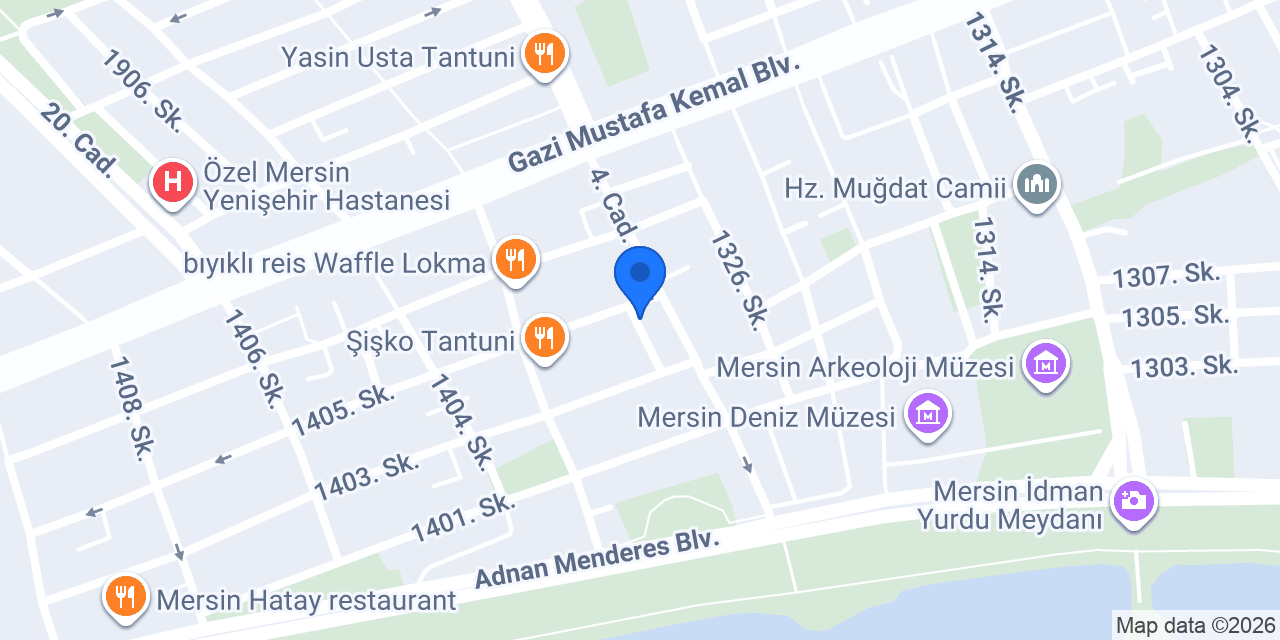 Salon çınar konumu