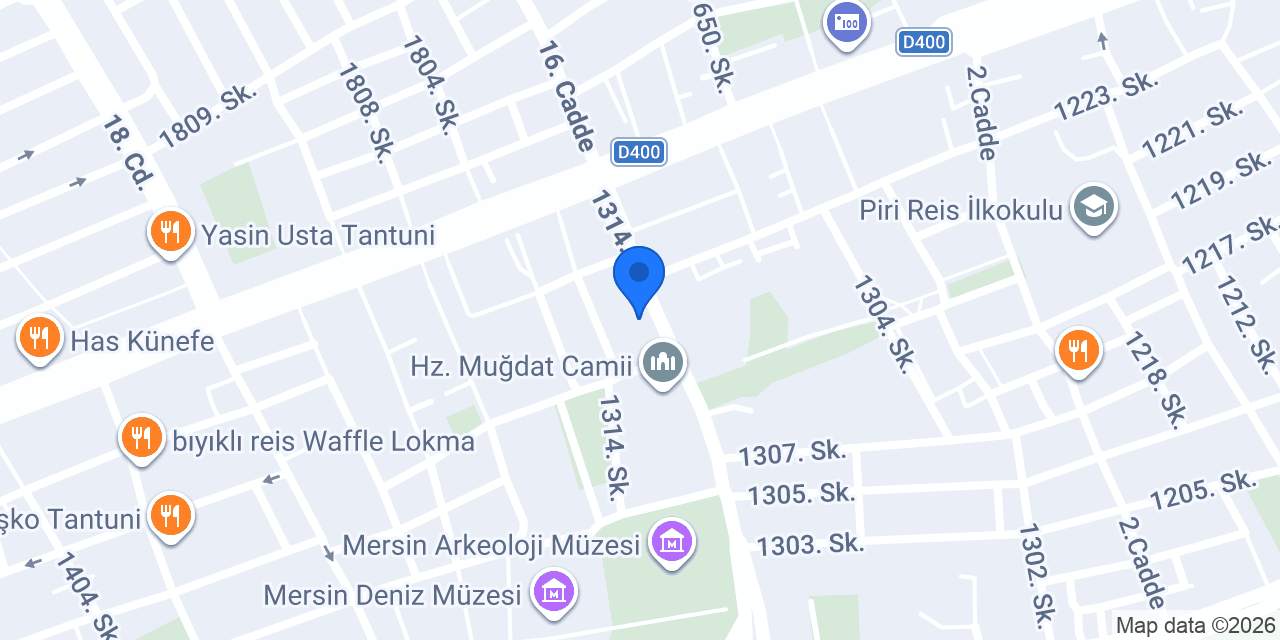 ASLAN OYUNCAK konumu