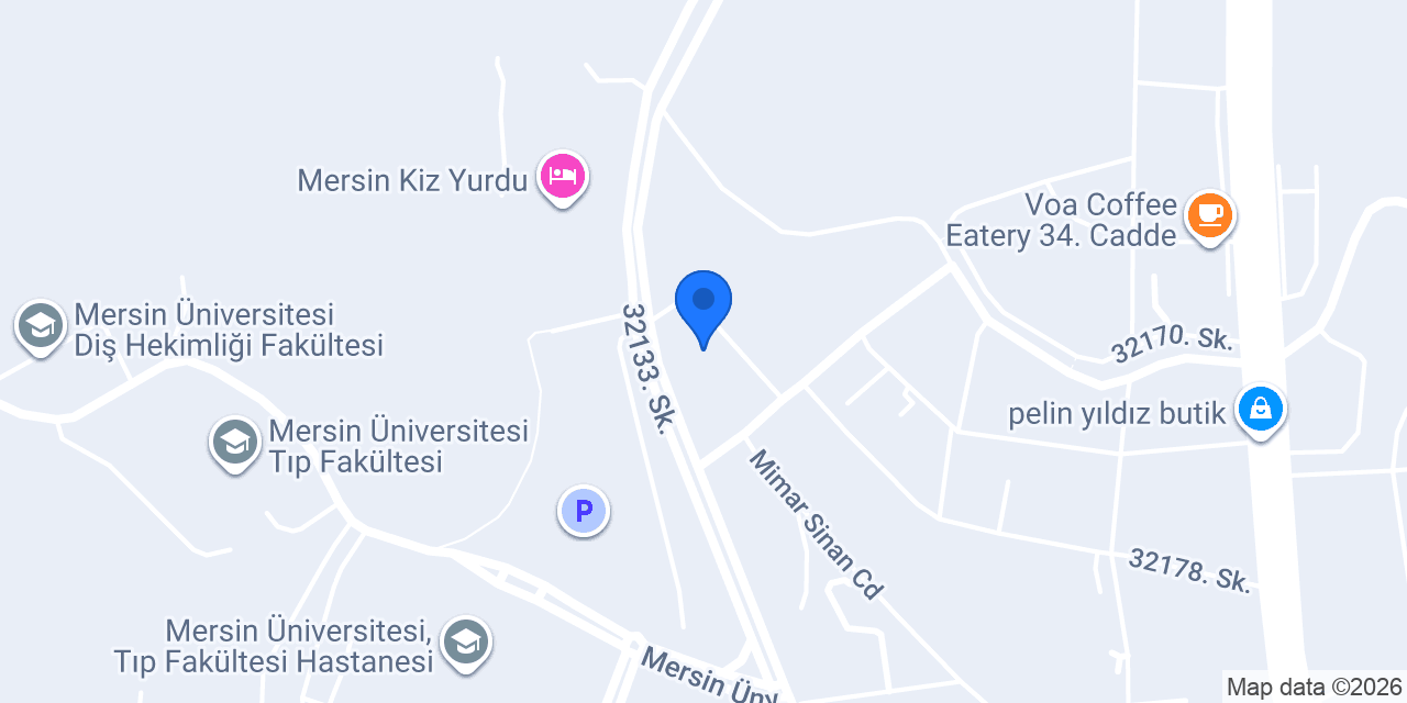 Alve Yurtdışı Danışmanlığı konumu