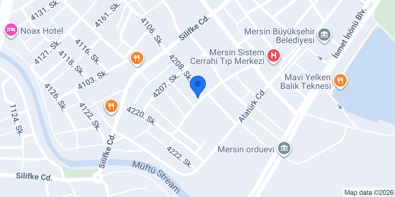 Tamamoğulları Rent A Car konumu
