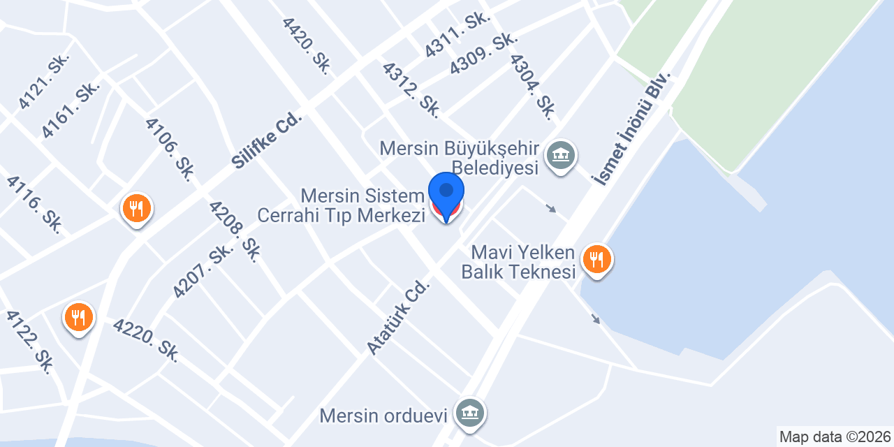 Mersin Sistem Cerrahi Tıp Merkezi konumu