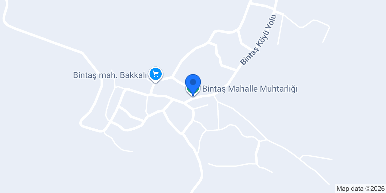 Bintaş Mahalle Muhtarlığı konumu