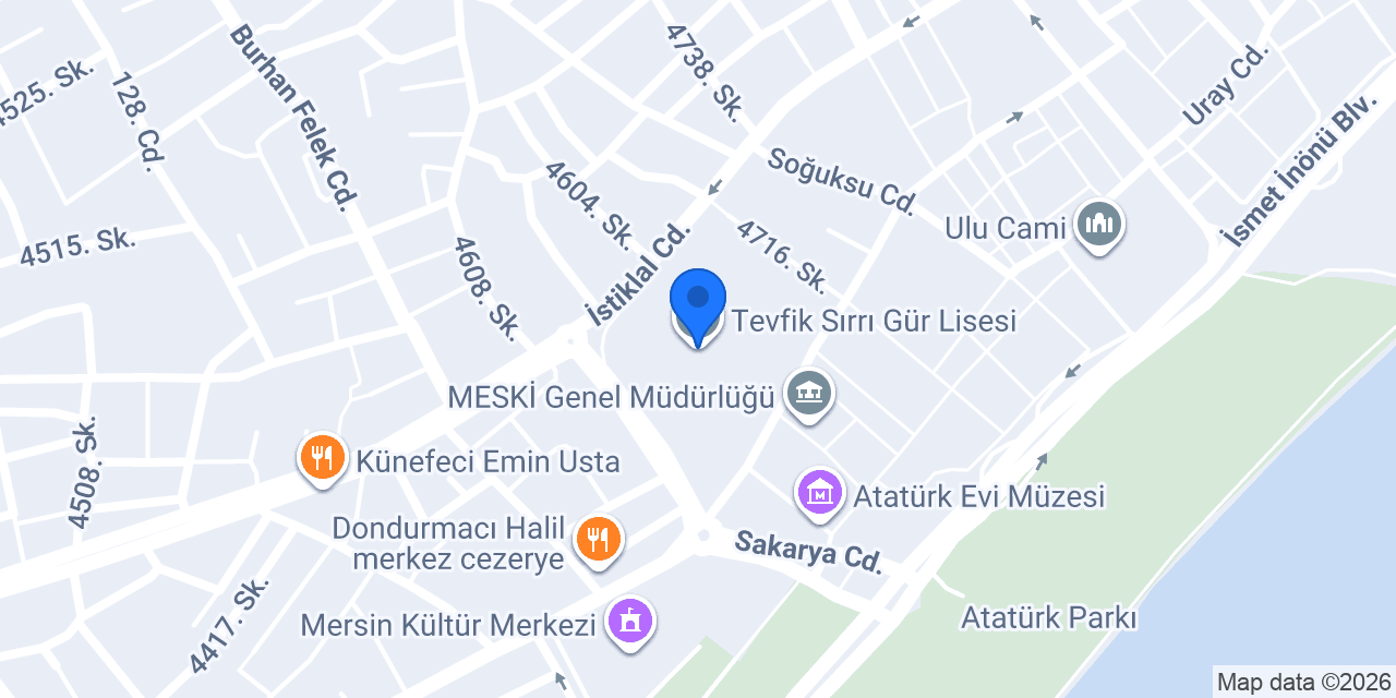 Tevfik Sırrı Gür Lisesi konumu