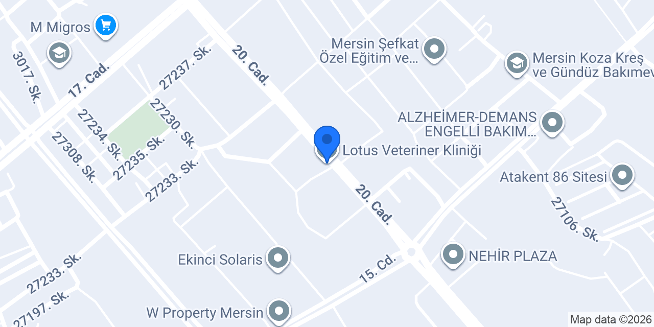Lotus Veteriner Kliniği konumu